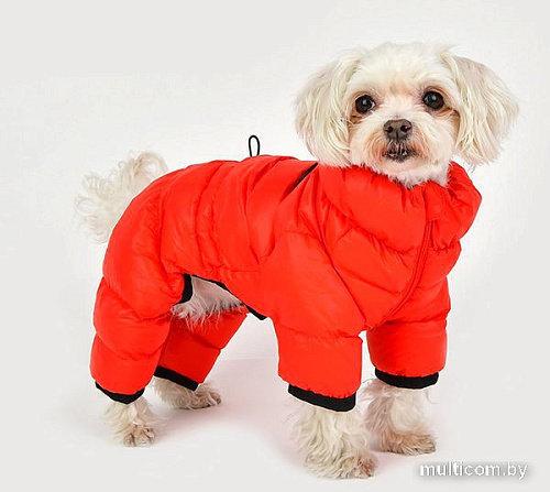 Комбинезон для животных Puppia Jumpesuit B PAPD-JM1673-RD-M (красный)