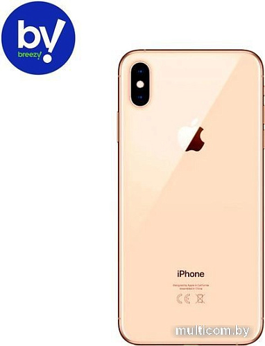 Apple iPhone XS 256GB Восстановленный by Breezy, грейд B (золотистый)