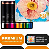 Набор цветных карандашей Pictoria Botanica CPS24B (24 шт)