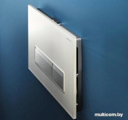 Geberit Sigma 40 DuoFresh 115.600.SI.1 (хром)