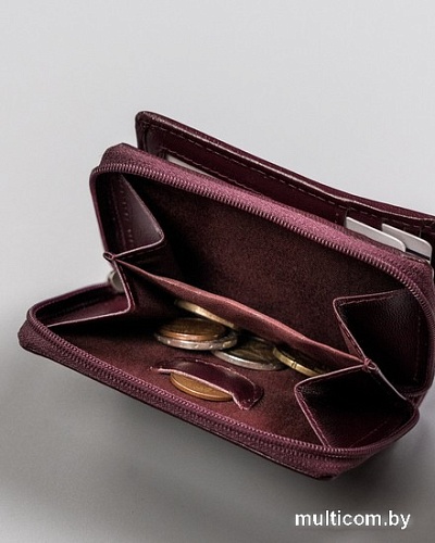 Кошелек Cedar Rovicky R-RD-34-GCL (сливовый)