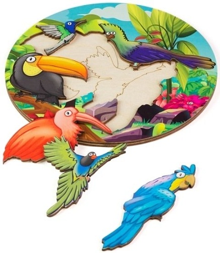 Развивающая игра Paremo Птицы PE720-06