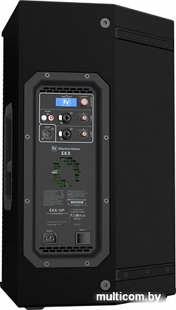 Концертная акустика Electro-Voice EKX-12P