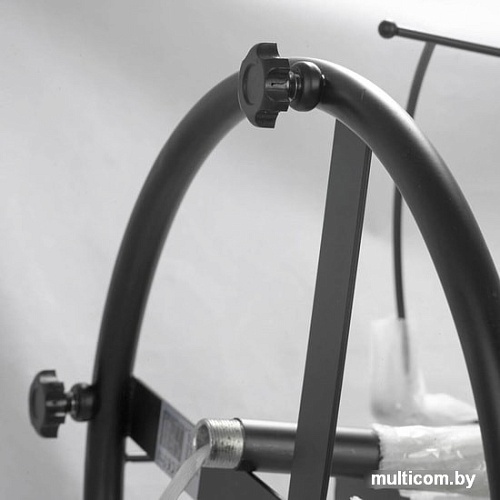 Торшер Lussole LSP-0524