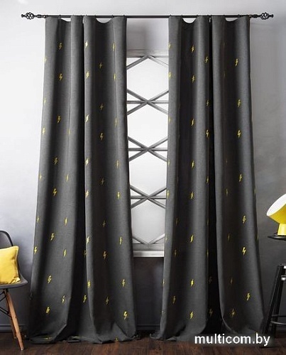 Комплект штор Pasionaria Флэш 290x240 с подхватами (мокрый асфальт)