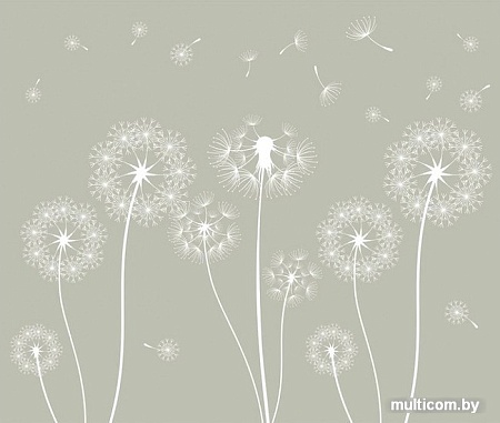 Фотообои Citydecor Одуванчик с защитным покрытием 300x254