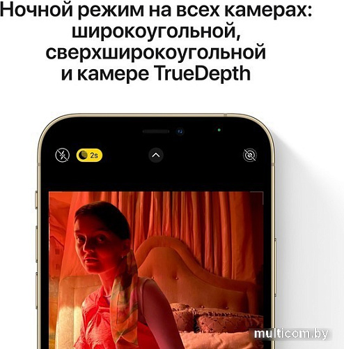 Смартфон Apple iPhone 12 Pro 256GB Восстановленный by Breezy, грейд B (серебристый)