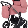 Универсальная коляска Rant Flex Pro RA074 2023 (2 в 1, pink)