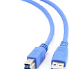 Кабель Cablexpert CCP-USB3-AMBM-6