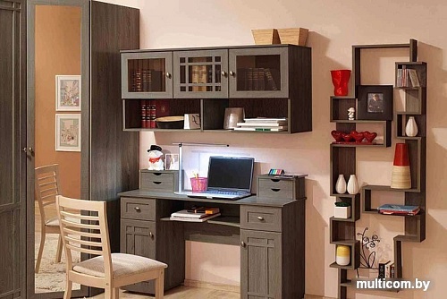 Шкаф распашной Глазов Sherlock 4 (орех шоколадный)