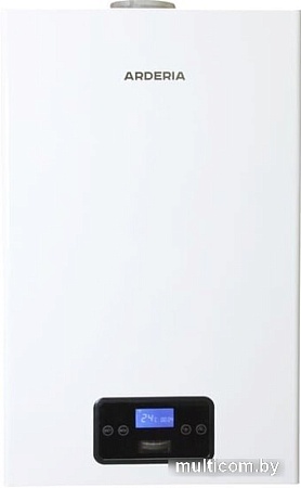 Отопительный котел Arderia D24
