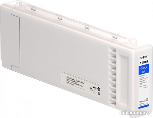 Картридж Epson C13T891800