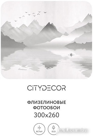 Фотообои Citydecor Абстракция 107 300x260