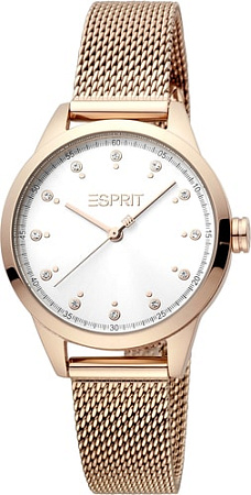 Наручные часы Esprit ES1L259M1095