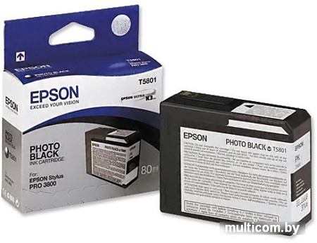 Картридж Epson C13T580100
