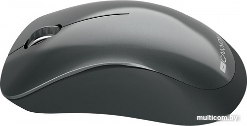 Мышь Canyon CNE-CMSW11B