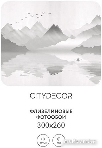 Фотообои Citydecor Абстракция 107 300x260