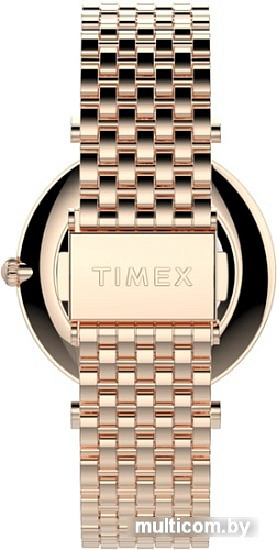 Наручные часы Timex TW2T79200