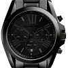 Наручные часы Michael Kors MK5550
