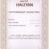 Шахматы Haleyan kh155