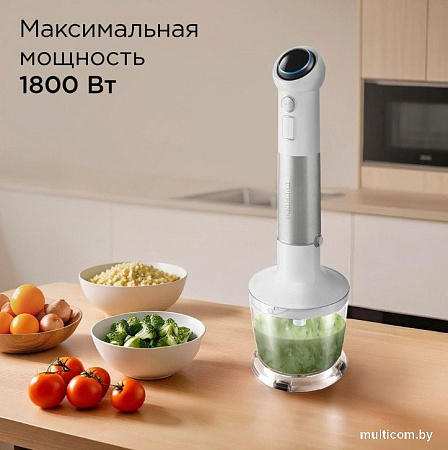 Погружной блендер Redmond (Редмонд) BH421 (белый)