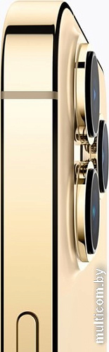 Смартфон Apple iPhone 13 Pro 128GB Восстановленный by Breezy, грейд A (золотой)