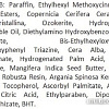 Косметика по уходу за лицом Eveline Cosmetics Бальзам для губ 100% Organic Argan Oil SOS Exotic Mango 4.5 г