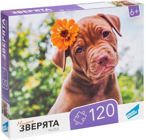 Пазл Dream Makers Зверята RI1203C