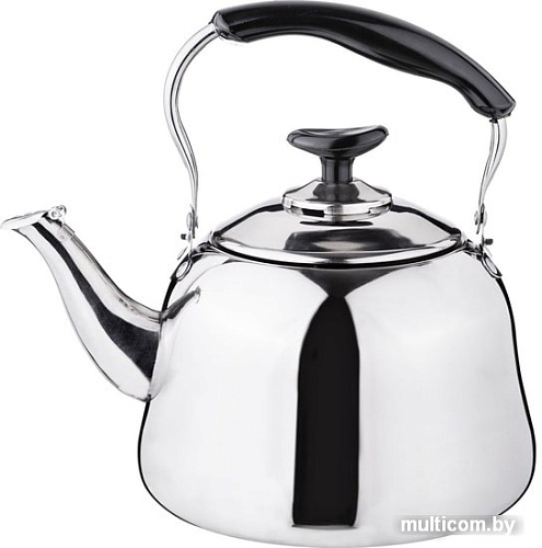 Чайник со свистком Agness 909-602