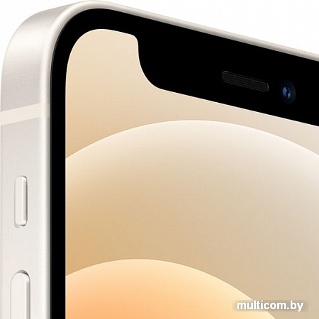 Смартфон Apple iPhone 12 mini 256GB (белый)
