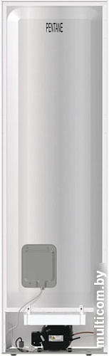 Холодильник Gorenje RK6201EW4