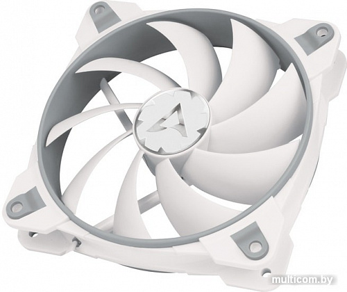 Arctic BioniX F120 (серый/белый)