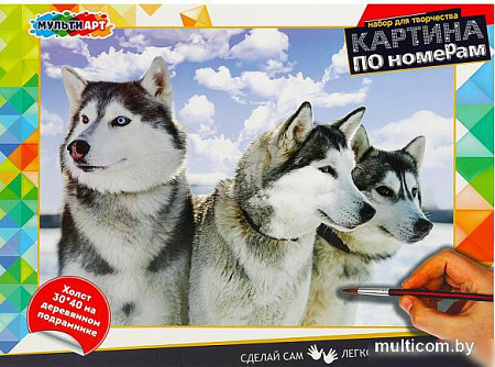 Картина по номерам MultiArt Лайки CANV30X40-MULTI47