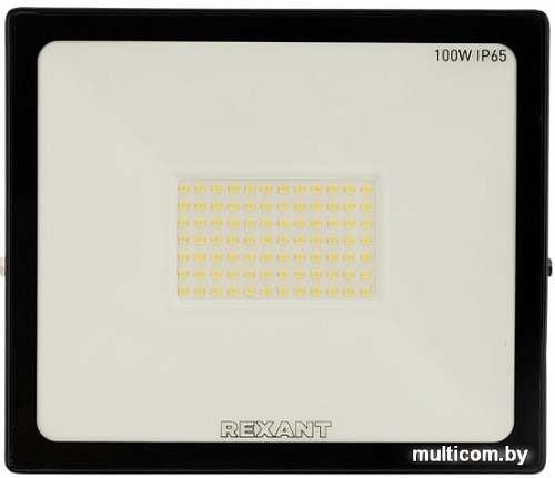 Уличный прожектор Rexant 605-005