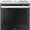Кухонная плита Hansa FCMW59119