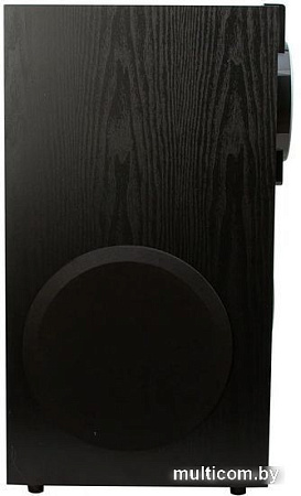 Акустика Eltronic 20-81 Home Sound (черный)