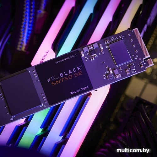 SSD WD Black SN750 SE 500GB WDS500G1B0E