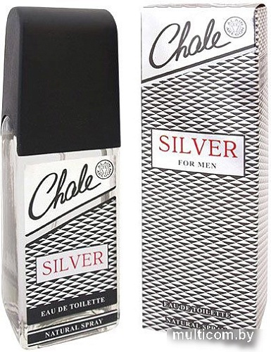 Парфюмерия Positive Chale Silver EdT (100 мл)
