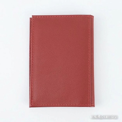 Обложка для паспорта Poshete 604-117LG-LBB (красный)