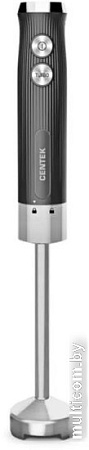 Погружной блендер CENTEK CT-1352 (черный)