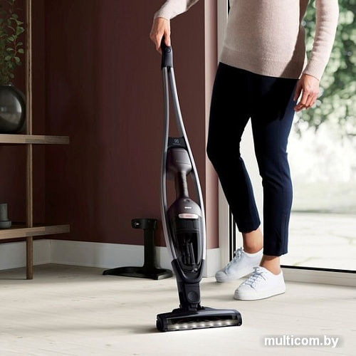 Пылесос Electrolux PQ91-ANIMA