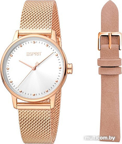 Наручные часы Esprit ES1L334M0045