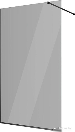 Душевая стенка Berges Wasserhaus Sky Black 80x200 064012