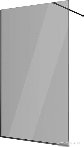 Душевая стенка Berges Wasserhaus Sky Black 80x200 064012
