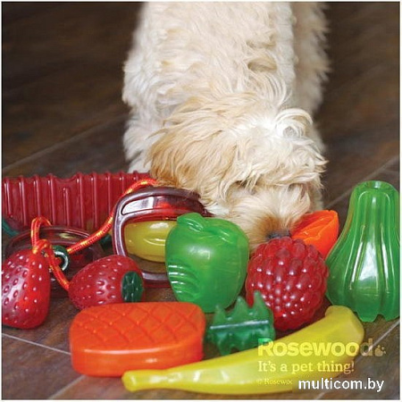 Игрушка для собак Rosewood BioSafe Fruits Toy Апельсин 43001/RW
