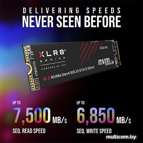 SSD PNY XLR8 CS3140 Heatsink 2TB M280CS3140-2TB-RB