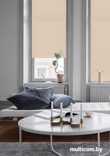 Рулонные шторы Эскар Plain 43x160 711020431601 (бежевый)