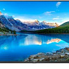 Телевизор TCL 43P617