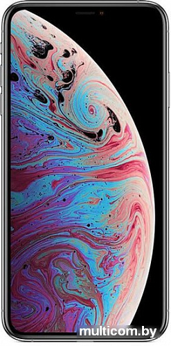 Смартфон Apple iPhone XS 64GB (серебристый)