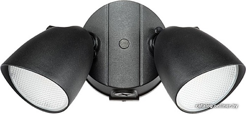 Уличный настенный светильник Lightstar Diva 374237